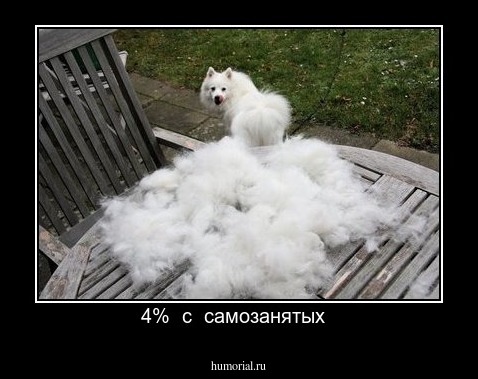    4%  с  самозанятых  