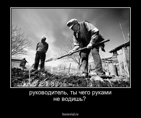 руководитель, ты  чего руками не  водишь?