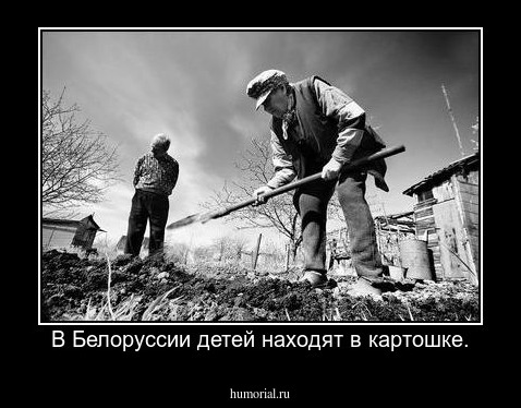 В Белоруссии детей находят в картошке.