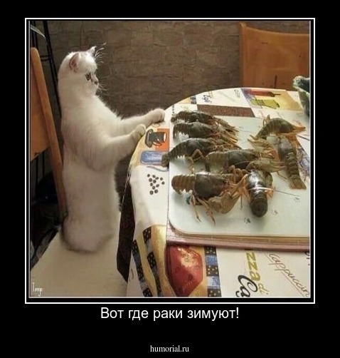 Вот где раки зимуют!