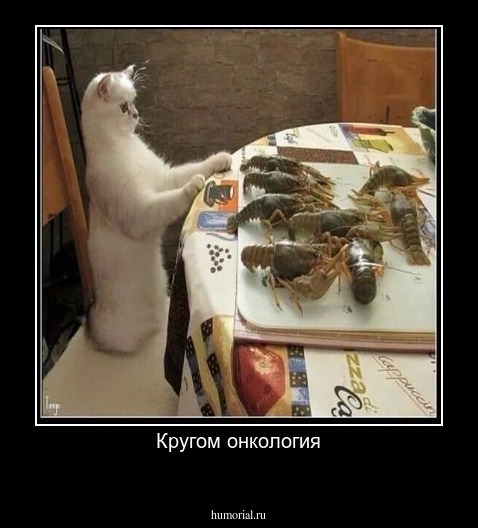 Кругом онкология
