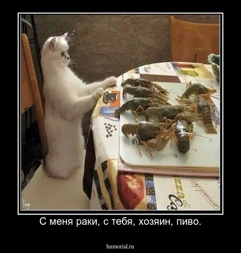 С меня раки, с тебя, хозяин, пиво.