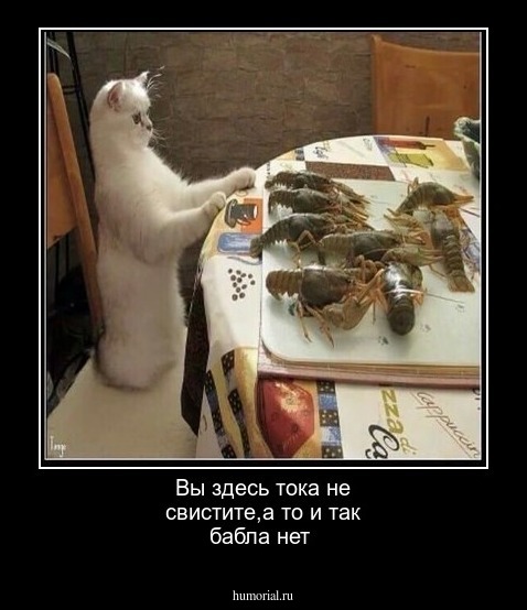 Вы здесь тока не свистите,а то и так бабла нет