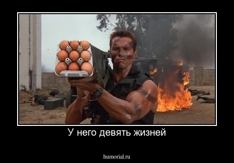 У него девять жизней