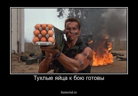Тухлые яйца к бою готовы