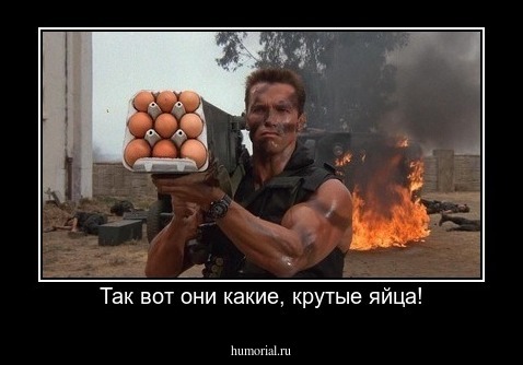 Так вот они какие, крутые яйца!