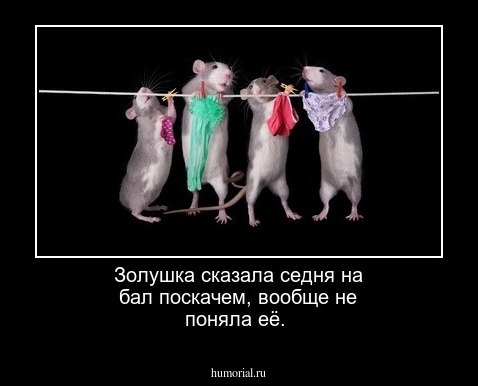 Золушка сказала седня на бал поскачем, вообще не поняла её.