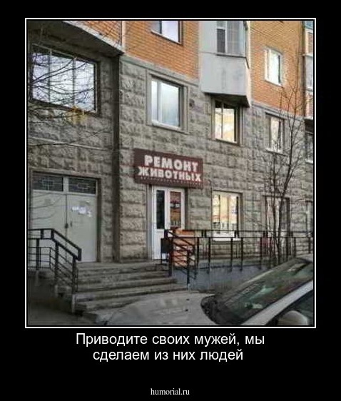 Приводите своих мужей, мы сделаем из них людей