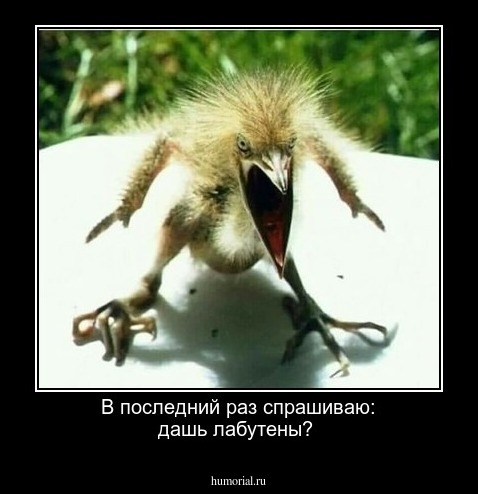 В последний раз спрашиваю: дашь лабутены? 