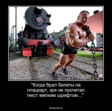 "Когда брал билеты на плацкарт, зря не прочитал текст мелким шрифтом..."