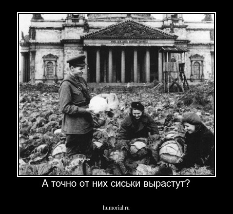 А точно от них сиськи вырастут?