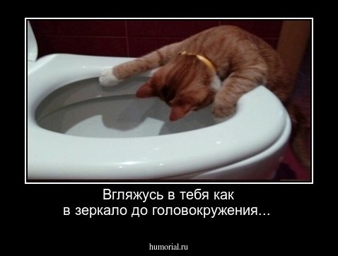Вгляжусь в тебя как в зеркало до головокружения...