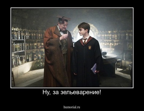 Ну, за зельеварение!