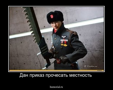 Дан приказ прочесать местность 