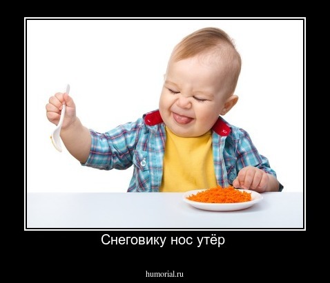 Снеговику нос утёр 