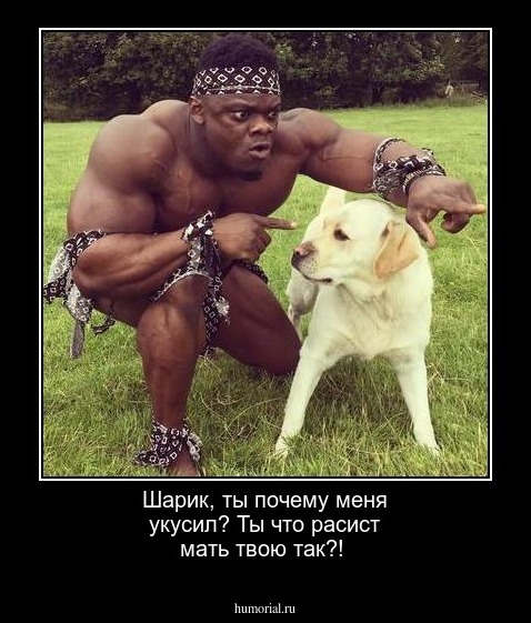 Шарик, ты почему меня укусил? Ты что расист мать твою так?!