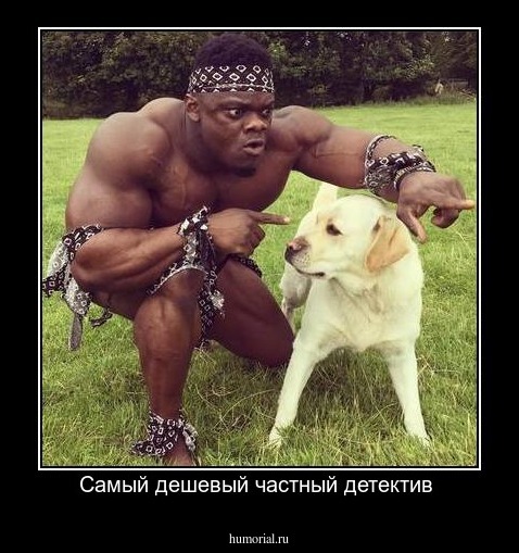 Самый дешевый частный детектив 