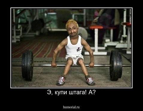 Э, купи штага! А?