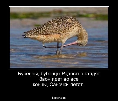 Бубенцы, бубенцы 
Радостно галдят 
Звон идет во все концы, 
Саночки летят. 