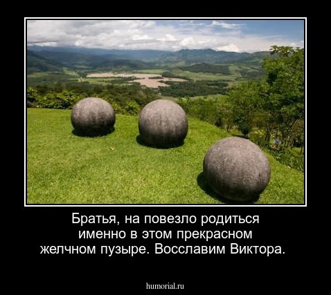 Братья, на повезло родиться именно в этом прекрасном желчном пузыре. Восславим Виктора.