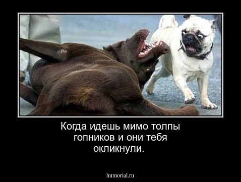 Когда идешь мимо толпы гопников и они тебя окликнули.