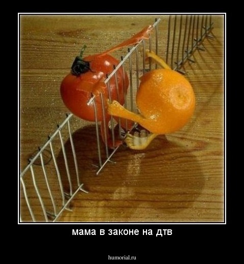 мама в законе на дтв