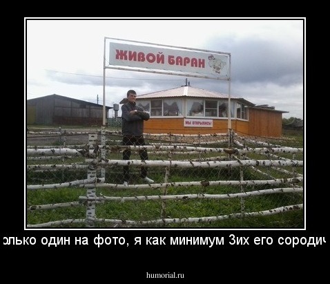 почему только один на фото, я как минимум 3их его сородичей видел