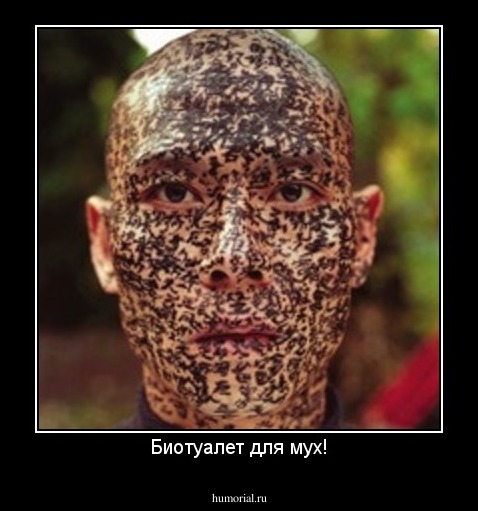 Биотуалет для мух!
