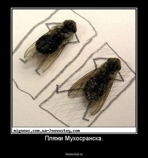 Пляжи Мухосранска.