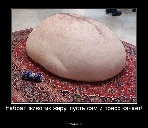 Набрал животик жиру, пусть сам и пресс качает!