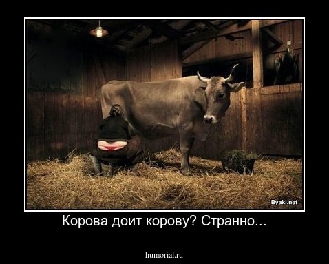 Корова доит корову? Странно...