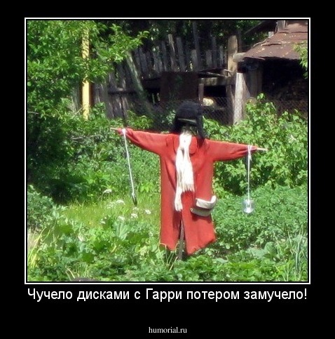Чучело дисками с Гарри потером замучело!