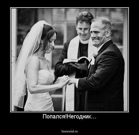 Попался!Негодник...