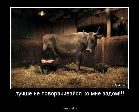 лучше не поворачивайся ко мне задом!!!