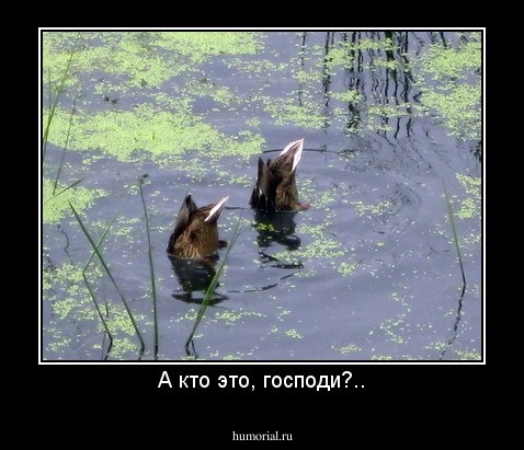 А кто это, господи?..