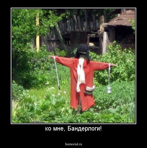 ко мне, Бандерлоги!