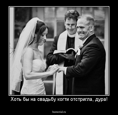 Хоть бы на свадьбу когти отстригла, дура!