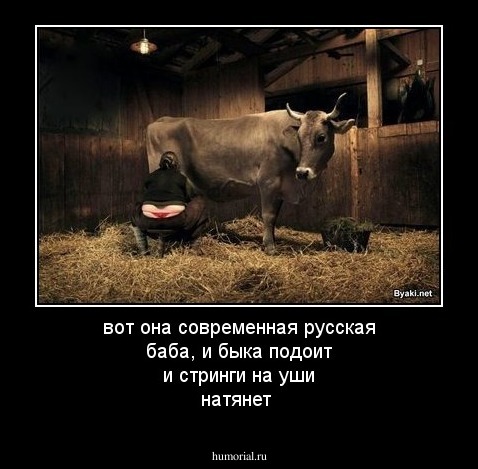 вот она современная русская баба, и быка подоит и стринги на уши натянет