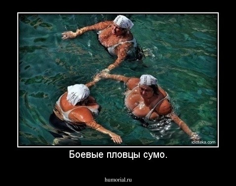 Боевые плавцы сумо.