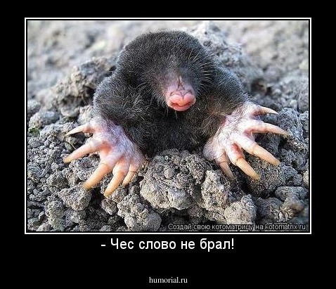 - Чес слово не брал!