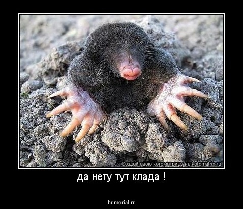 да нету тут клада !