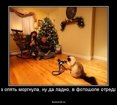 Хозяйка опять моргнула, ну да ладно, в фотошопе отредактирую