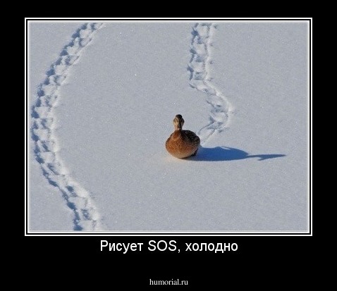 Рисует SOS, холодно
