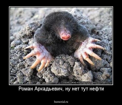 Роман Аркадьевич, ну нет тут нефти