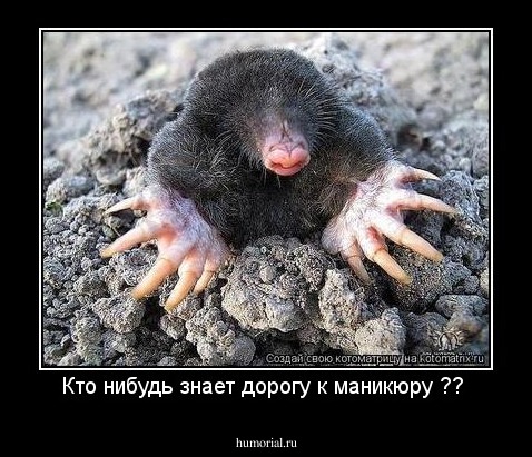 Кто нибудь знает дорогу к маникюру ?? 