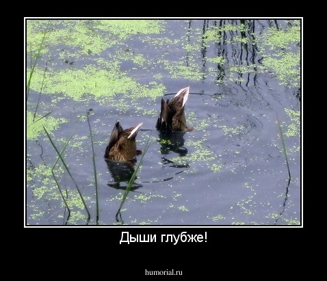 Дыши глубже!