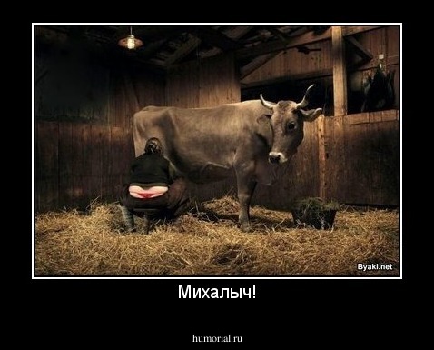 Михалыч!