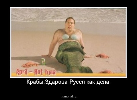 Крабы:Здарова Русел как дела.