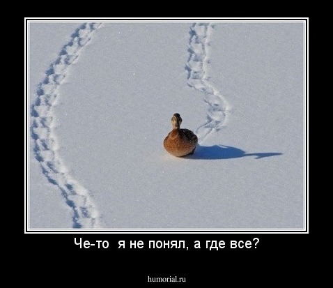 Че-то  я не понял, а где все?