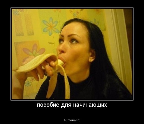 пособие для начинающих